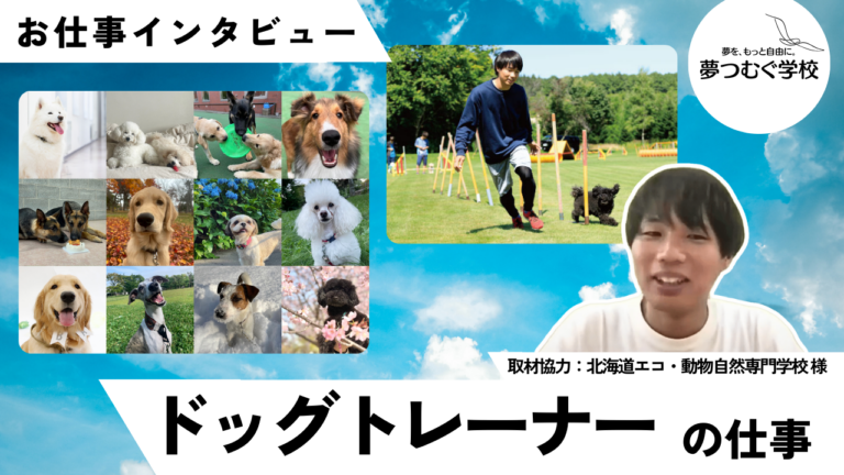 インタビュー活動